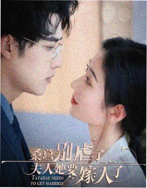 县城故事集生活群像电视剧在线观看
